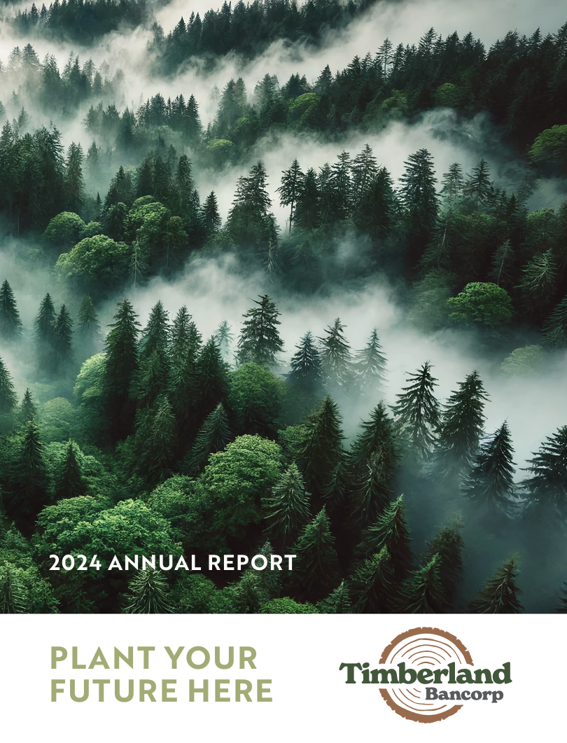 2024 Annual Report and Form 10K